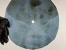 ROLLING STONES RUBY TUESDAY X-Ray USSR Record Roentgen Ribs Bones Music Vinyl