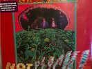 THE GROWLERS 'Not Psych 