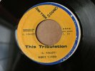 Honey Vaughn 'This Tribulation' 1977 Rhythm Sound Roots Reggae Dub 45 HEAR