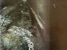LP Cat Mother And The All-Night Newsboys The Street Giveth.. And The Street Tak