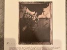 PIXIES Surfer Rosa 4AD LP VG+/VG++ 180g Reissue - 2004