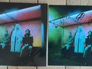 Wolf Alice ‎– Blue Weekend - Black Vinyl Record WIth Signed / Autographed Insert