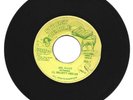 AL MIGHTY DREAD / MR. D -JAY / VERSION / 7''
