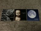 The Sundays - RSD - Reading - Blind - Static - Vinyl Albums - Limited