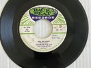 THE ROB-ROYS Audry / Tell Me Why Back Beat Norman Fox Doo Wop EX+