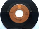 The Blue Ridge Rangers / You Don't Own Me & Back In The Hills / 1973 45 / NM+