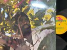 JUNIOR BYLES Rasta No Pickpocket NIGHTHAWK 7493 1986 Vinyl LP NM