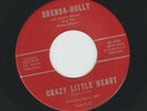 ROCKABILLY -BRENDA-HOLLY w DARWIN NELSON -  CRAZY LITTLE HEART -  HEAR -IEUNICE