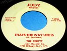 THE CIRKYT Thats The Way Life Is 45 Rare Original Jody Label CT Garage/Punk NM-