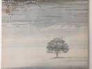 Genesis Wind & Wuthering Charisma Lp CDS 4005 UK 1st Press Textured Jacket NM-