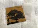 In Between Dreams by Jack Johnson (Record, 2005)