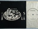 RARE PRIVATE PUNK 45 Rotavators Meat/ East Coast Resort SRT SRTS78CUS143 1978