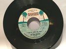 soul/funk THE VOICE MASTERS 