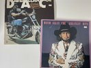 David Allan Coe Rides Again Vtg 1977 + Greatest Hits Outlaw Country Vinyl