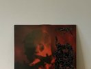 Yung Lean Stranger Vinyl (2LP Black)