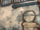 Counting Crows - Somewhere Under Wonderland Black Vinyl LP