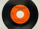 Batteries Not Included: Poughkeepsie - City of Sin - 45 RPM Vinyl 1980 Punk