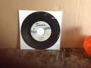 she loves you the beatles 45 swan
