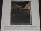 PIXIES surfer rosa USA LP new sealed 180 GRAM VINYL frank black THE BREEDERS