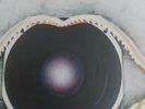 Leftfield - Leftism - Vinyl Record.. Original Copy 1995￼