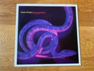 Shades Of Rhythm - The Sound Of Eden Everytime I See Her 12” Vinyl  Promo 1991
