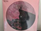 Roger Taylor Outsider Picture Disc Vinyl PreOrder Brian May Freddie deacon