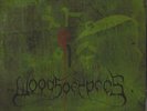 Woods Of Ypres Woods 4: The Green -Green Vinyl 2-LP  (Double )