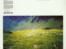 ELIANE RADIGUE Geelriandre - Arthesis LP *SEALED* la monte young eleh ashley nww