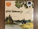 *SEALED* Albert Hammond Jr - Self Titled vinyl LP New and Mint RSD the strokes