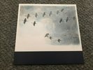 Stephen O'Malley – Gruidés LP Blue Vinyl 2015 Ltd To 300 Copies Sunn O)))