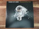 Kings of Leon - Because Of The Times - Gatefold Double Vinyl Record - 180g RI