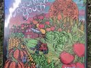 *SEALED* Fortunate Youth - Live From California Vinyl LP Record NEW