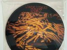 The Jesus Lizard ‎– Goat (UK/EU 91,Touch And Go – T&GLP#68P) Pic-Lp