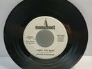 Arthur Alexander – I Need You Baby / Spanish Harlem Promo 45-1060 1968 VG+/VG+