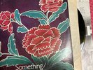 Todd Rundgren Something / Anything? 2 LP Album 1972 Bearsville Rare Complete