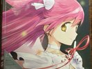 Puella Magi Madoka Magica Ultimate Best limited edition VINYL 12in 2 LP Record