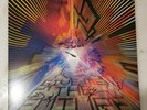 BASTILLE Give Me The Future Hand SIGNED with Message VINYL Lp