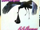 J. J. Barnes, Born Again, 1973, Perception VG++