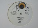 SUPER CAT Mandela Land ECLIPSE Digi Roots Reggae 12