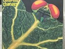 Rock LP - Catapilla - Changes - Akarma - NM