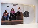 GROUNDHOGS solid (1st uk press) LP EX/EX, WWA 004, vinyl, album, & lyric insert