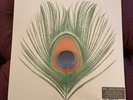 XTC Apple Venus Vinyl Brand New and Sealed (RARE)