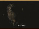 Lambchop Showtunes Limited Edition Orange Vinyl LP