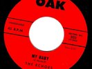 RARE PENNSYLVANIA GARAGE CALYPSO 45 RPM 