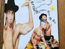 Red Hot Chili Peppers Taste the Pain RARE import 7