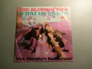 THE BLOSSOM TOES - What on Earth -Psychedelic 7