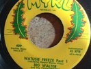 HEAR 1962 WILD JUNGLE EXOTICA INSTRO ROCKER- BIG WALTER - WATUSIE FREEZE -MYRL