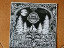 Dark tranquillity - A Moonclad Reflection - Copy N°464