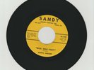 DARRYL VINCENT- Wild Wild Party -   ( USA)  or.press.  M-