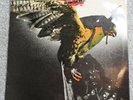 BUDGIE IN FOR THE KILL VINYL LP RECORD